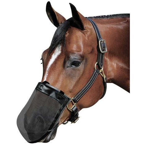 Mascherina Muso attaccabile Capezzino