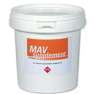 MAV SUPPLEMENT