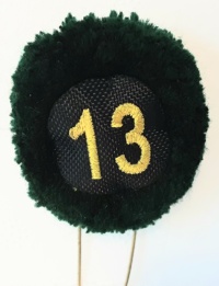 13a batteria nappina