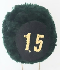 15a batteria nappina