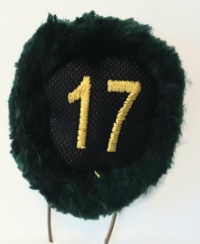 17a batteria nappina - immagine 2