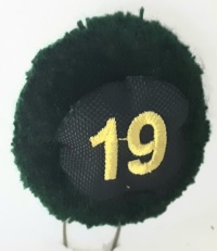 19a batteria nappina