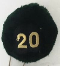 20a batteria nappina