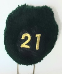 21a batteria nappina