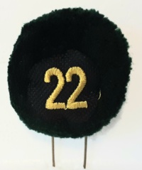 22a batteria nappina