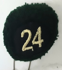 24a batteria nappina