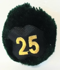 25a batteria nappina