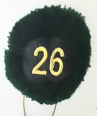 26a batteria nappina