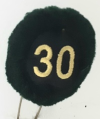 30a batteria nappina