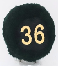 36a batteria nappina
