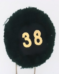 38a batteria nappina