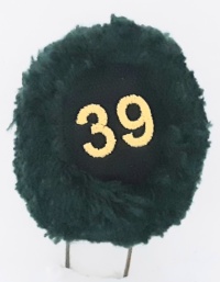 39a batteria nappina