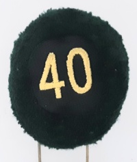 40a batteria nappina