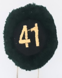 41a batteria nappina