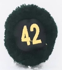 42a batteria nappina