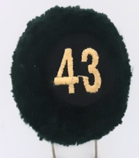 43a batteria nappina