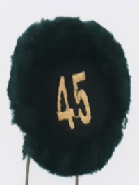 45a batteria nappina