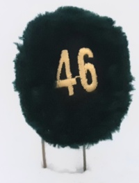 46a batteria nappina