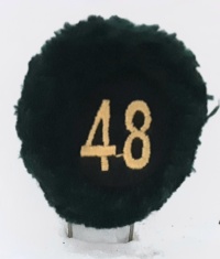 48a batteria nappina