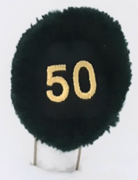 50a batteria nappina