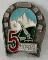 5a compagnia mortai reggimentale secondo modello