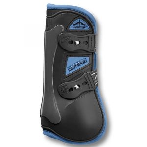 PARATENDINI VEREDUS OLYMPUS COLOR