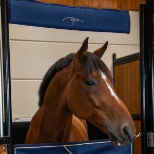 Protezione per la testa blu Dy’ on