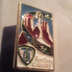 Raggruppamento servizi Cadore