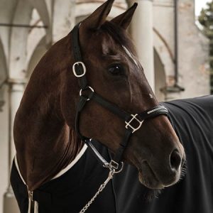 Cavezza cuoio tubolare Sarm Hippique