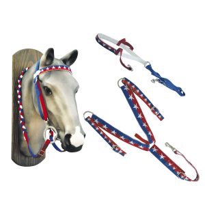 Set testiera + pettorale + redini + tie down nylon usa