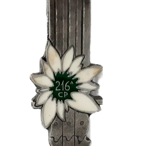 216a compagnia val tagliamento