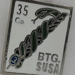 35a compagnia battaglione susa terzo reggimento alpini