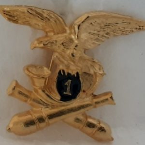 primo reggimento artiglieria da montagna