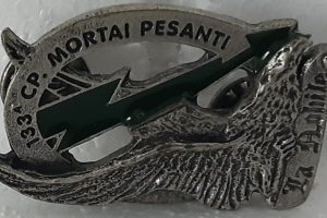 133a compagnia mortai pesanti battaglione susa