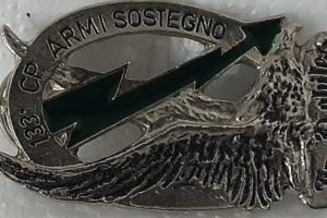 133a compagnia armi di sostegno battaglione susa