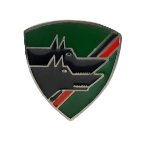 41a compagnia battaglione aosta quarto reggimento alpini secondo modello