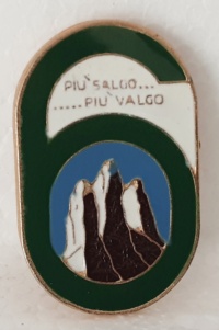 6° reggimento alpini